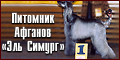 Питомник «Эль Симург» - сайт Натальи Попковой.